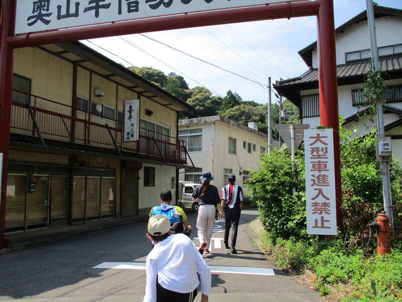 いちょうの木の様子