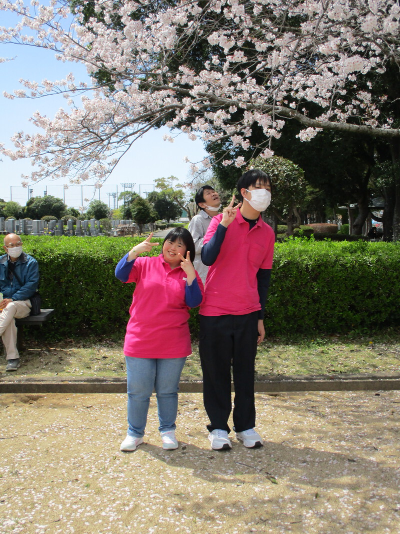 お花見に行ってきました＆カラオケフェスティバル開催のお知らせ
