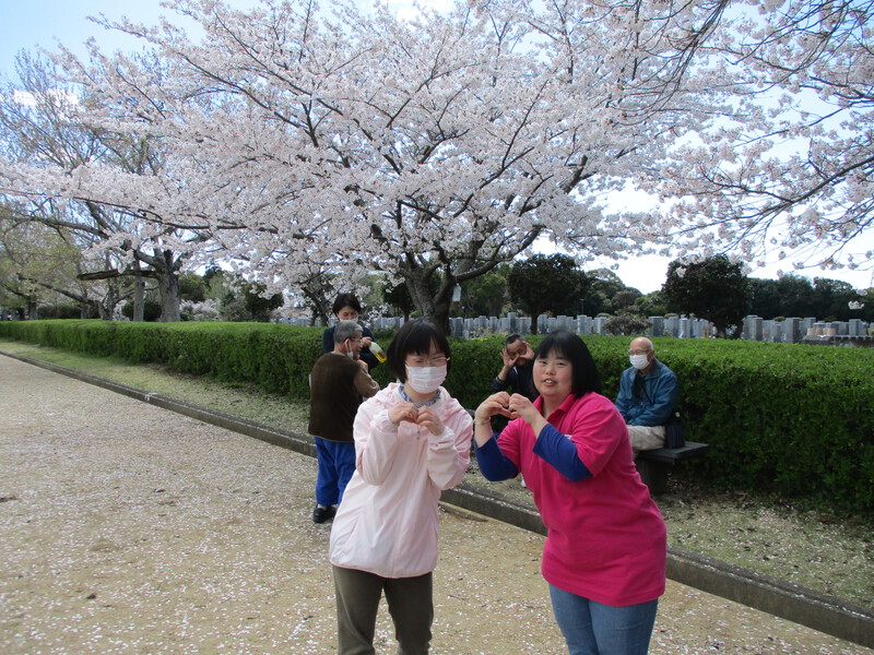 お花見に行ってきました＆カラオケフェスティバル開催のお知らせ