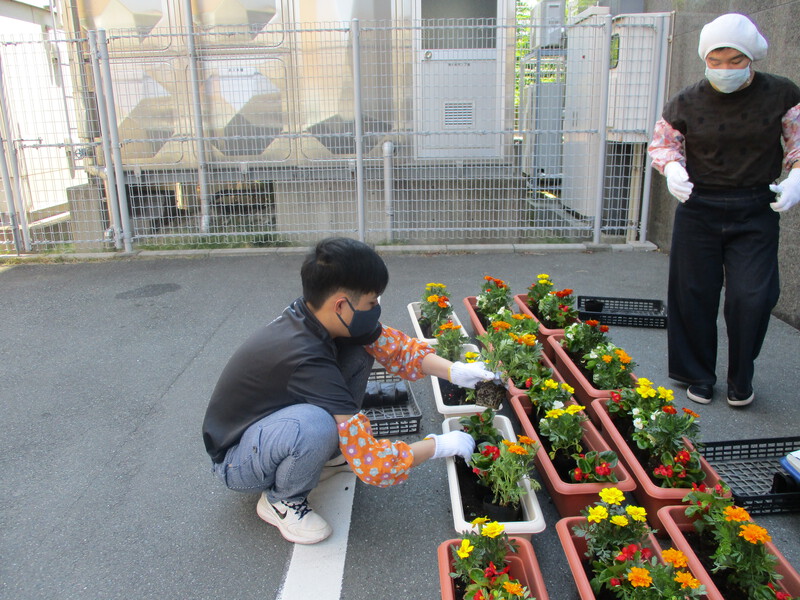 お花の苗を植えに行きました