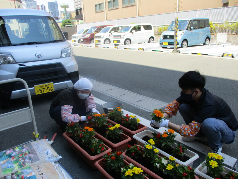 お花の苗を植えに行きました