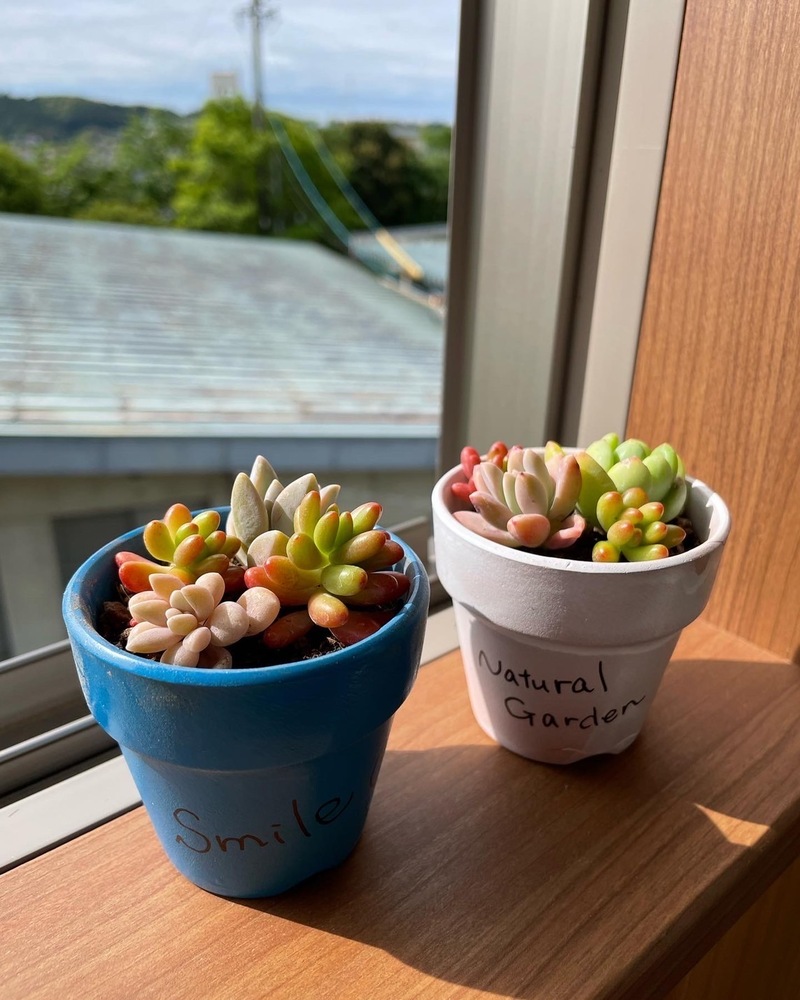 天竜春の蔵シックにて販売します
