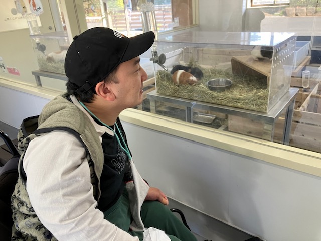 いちょうの木の様子