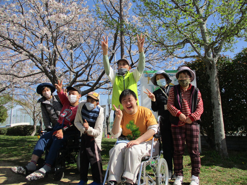 いちょうの木の様子