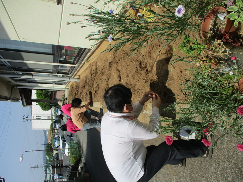 花の苗を植えました