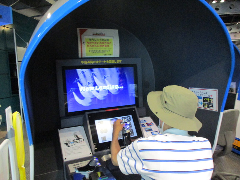 7月のいちょうの木の様子です
