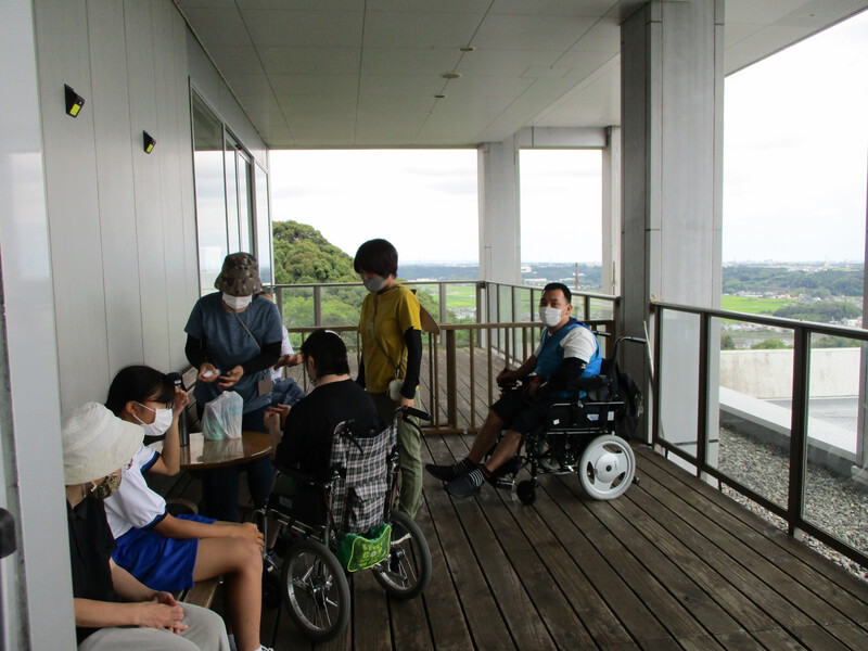 7月のいちょうの木の様子です