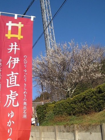 直虎ゆかりの地から!(^^)!