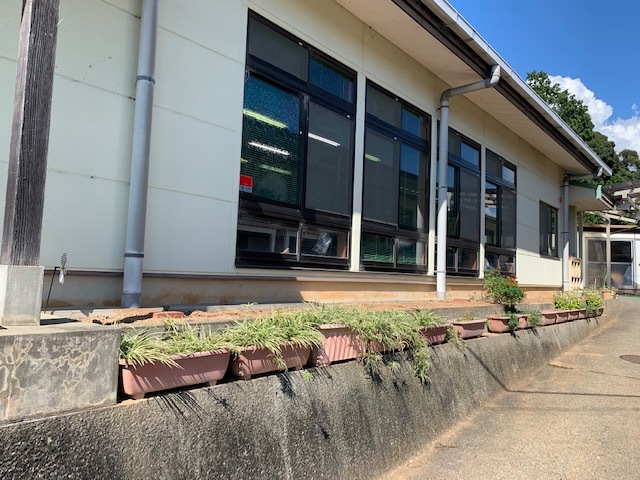 草の根の花壇