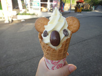 東山動物園♪ 2012/05/09 23:55:44