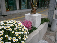ゆりの木通り花壇