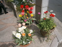 ゆりの木通り花壇