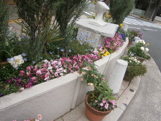 ゆりの木通り花壇