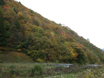 兵越峠の紅葉