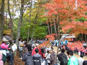兵越峠の紅葉