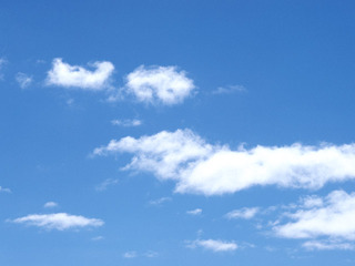 2011年を振り返って
