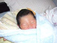 生まれたよ 2012/02/17 19:37:22