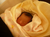 明けましておめでとうございます。 2012/01/06 13:48:25