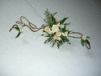 Welcome Flower 2012/03/09 15:29:56