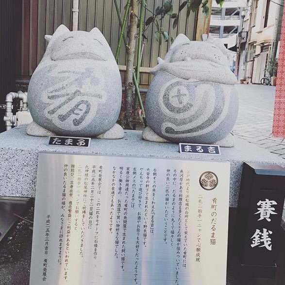 『まるたま市』ありがとうございました！