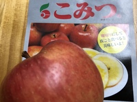 １２月１８日　本日のパンケーキ 2024/12/18 07:14:10