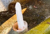 珍百景（笑） 2021/01/12 15:42:45
