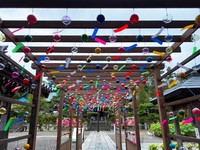 お見合い会場やデートコースの下見はしていますか？ 2020/07/05 12:35:28