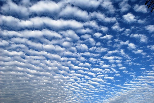 鰯雲