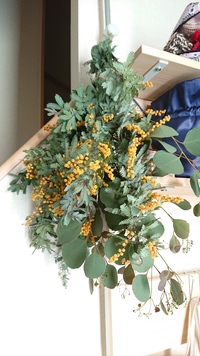 癒しの植物 2020/03/12 20:54:03