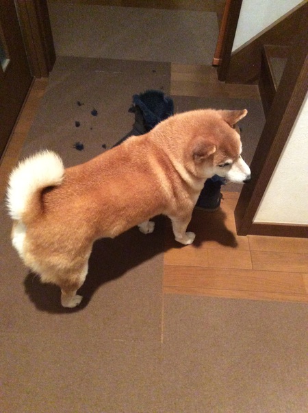 犯人は誰だ！
