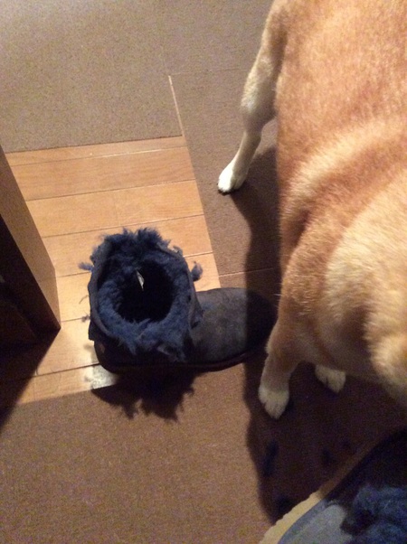犯人は誰だ！