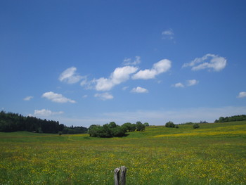 Le haut-Doubs