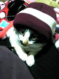 チィーです 2008/10/31 16:18:01