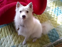 ルナです 2008/03/24 09:36:34