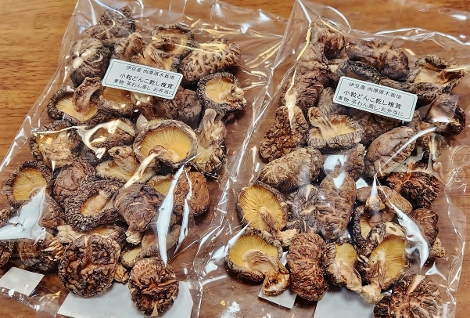 小粒で旨い伊豆産どんこ椎茸