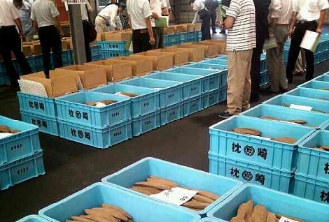 1本釣りの鰹節がおいしい訳
