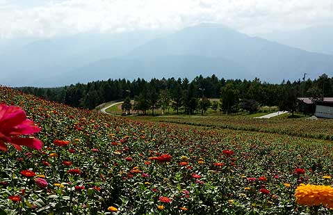八ヶ岳山麓で高原の秋を楽しむ