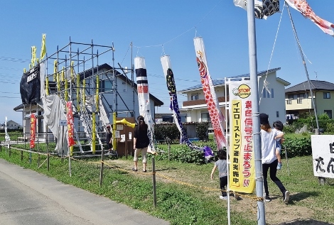 田んぼで見た大きなウミガメ