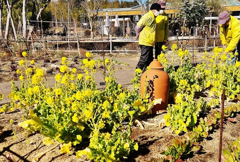 冬景色の浜名湖畔に芽吹く春