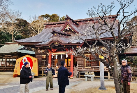 海岸に建つ鳥居と早朝の参拝