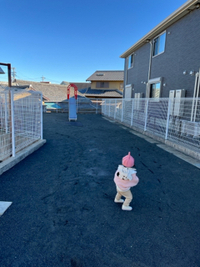 一歩ずつ確実に 2025/01/11 17:40:17