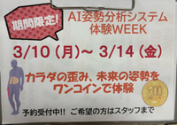 AI判定 2025/03/12 13:27:01