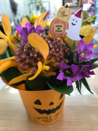 フォーママフェスタ出展内容②生花を使ったハロウィンアレンジメント作り
