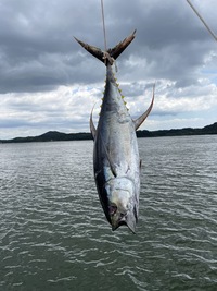 キハダマグロが釣れました！