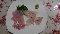 初釣りの成果！
