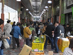 朝市特別