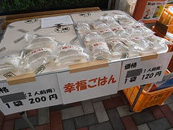 サザンクロス朝市　新商品紹介
