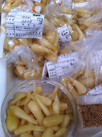 サザンクロス朝市　明日開催