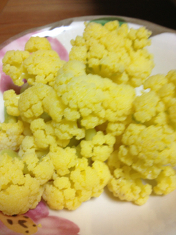 サザンクロス朝市の食材で