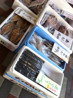 サザンクロス朝市　明日開催
